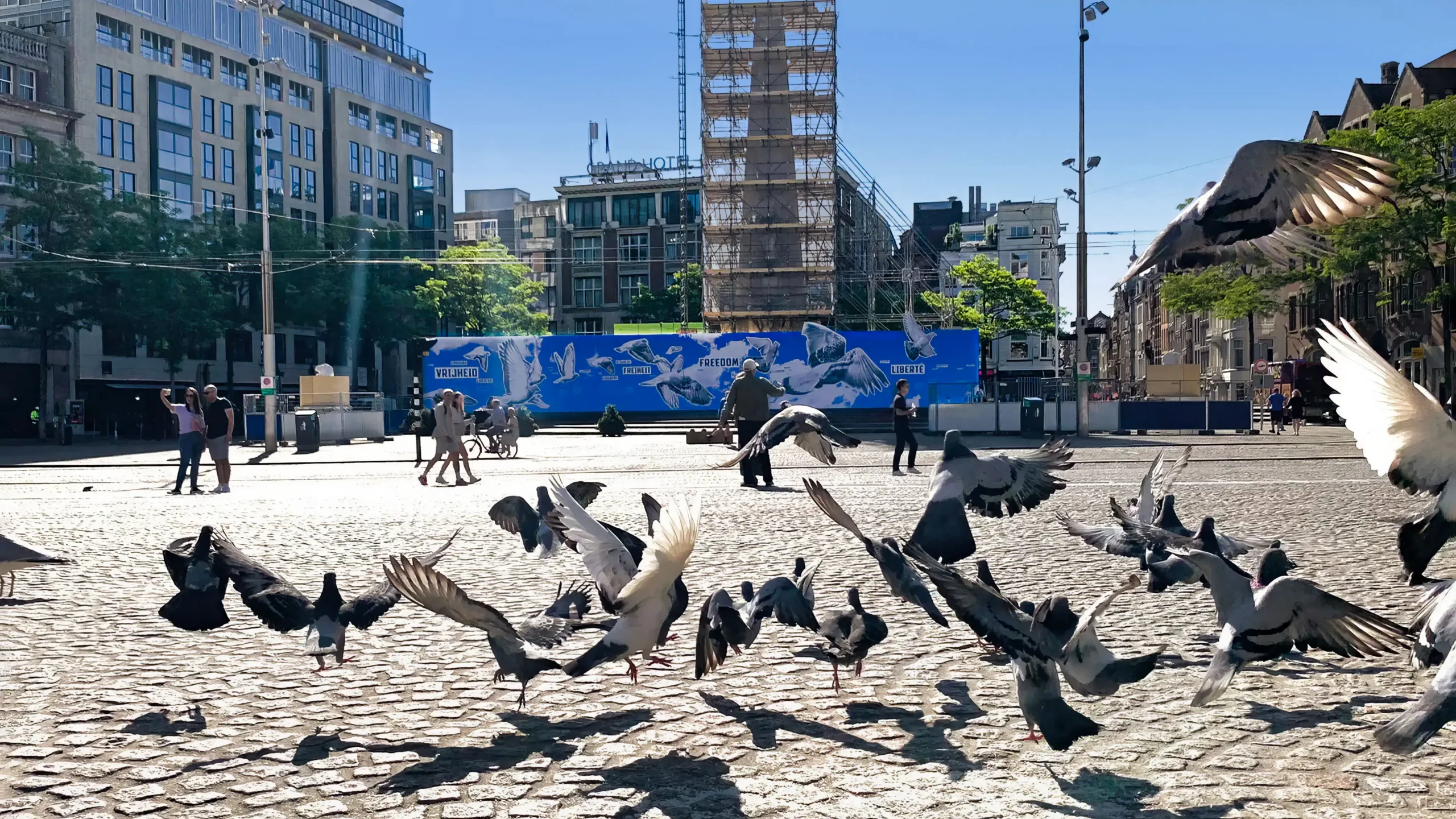 bouwwand monument op de dam 2022 vorm de stad